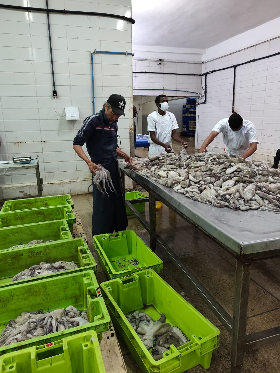 Seafood Processing Work