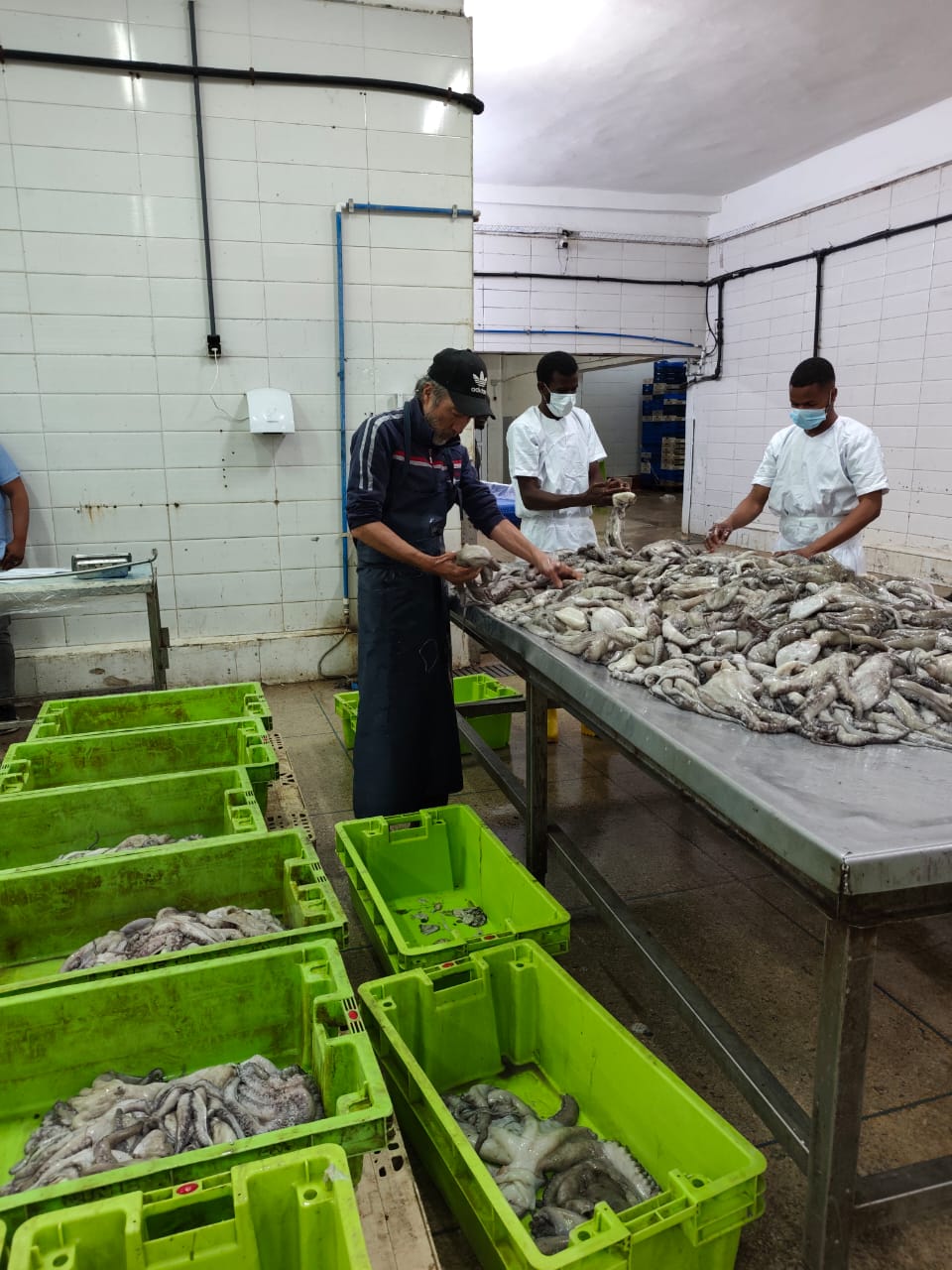 Staff Working at Tables